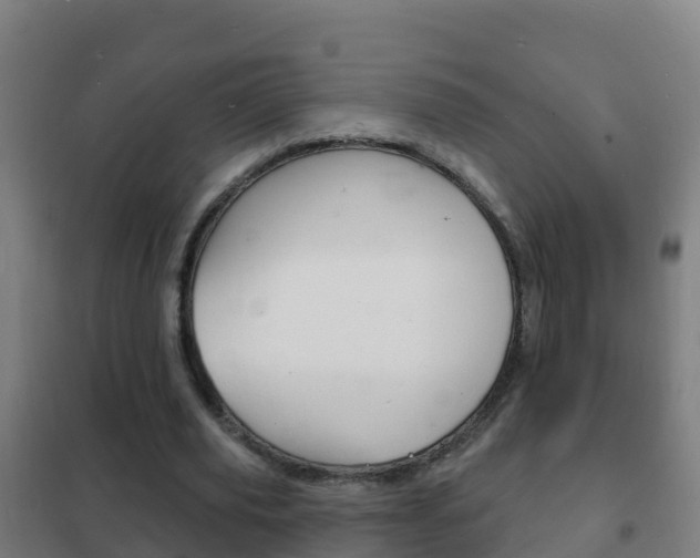 X0000102230629200807250810