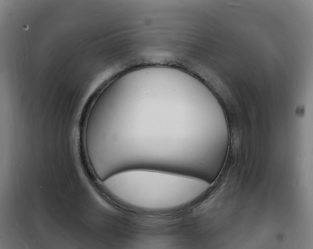 X0000102230630200807250810