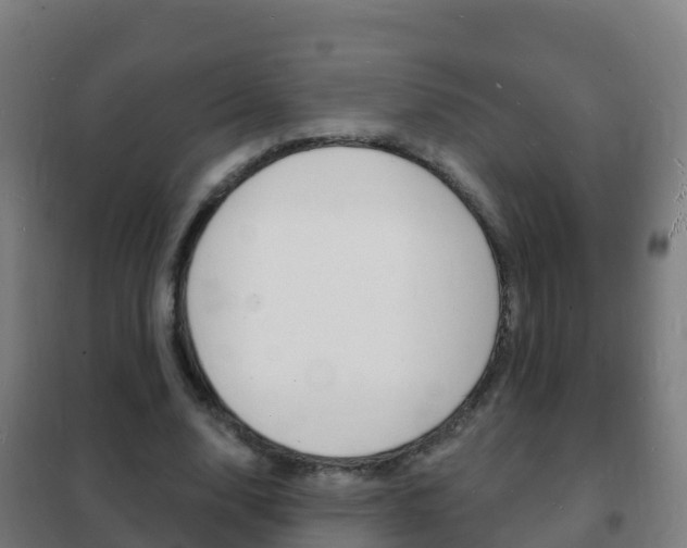X0000102230632200807250810