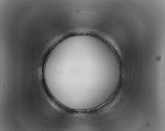X0000102230633200807250810