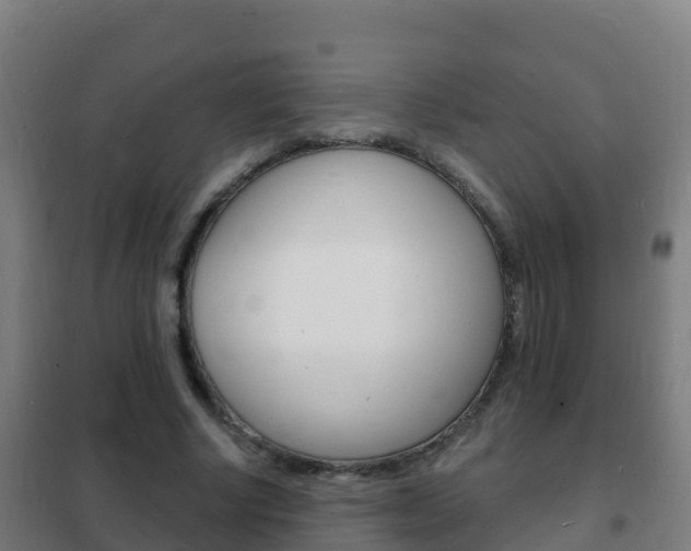 X0000102230634200807250810