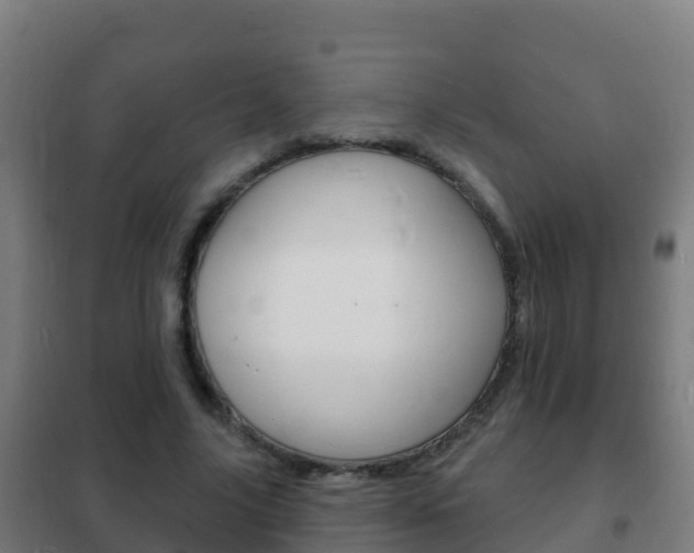 X0000102230635200807250810