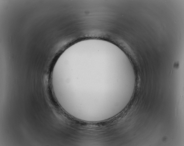 X0000102230636200807250810