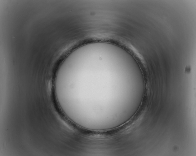X0000102230637200807250810