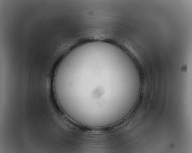 X0000102230639200807250810