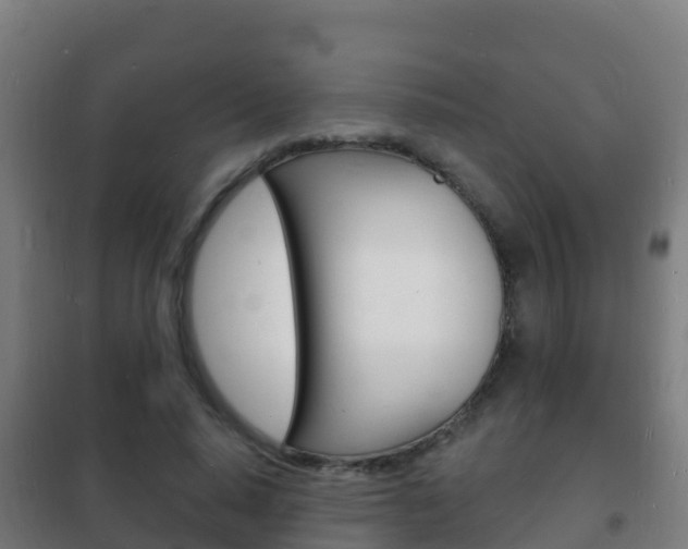 X0000102230640200807250810