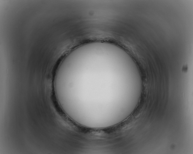 X0000102230642200807250810