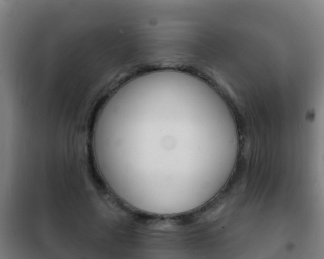 X0000102230643200807250810