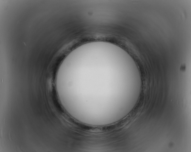X0000102230644200807250810