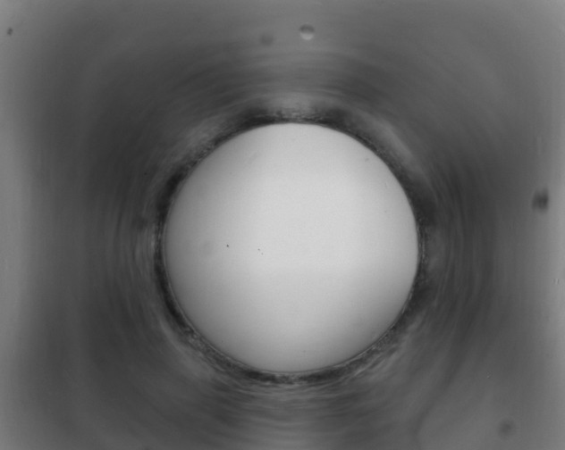 X0000102230645200807250810