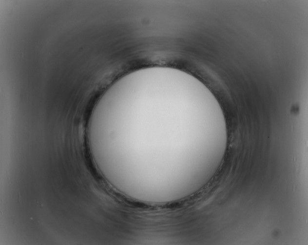 X0000102230646200807250810