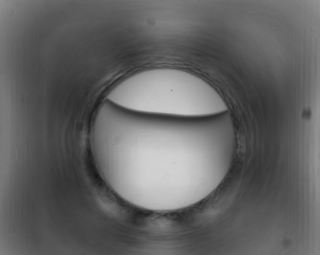 X0000102230648200807250810