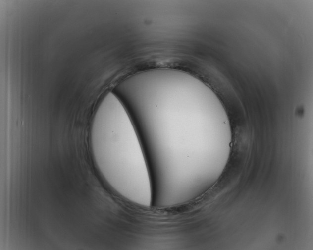 X0000102230650200807250810