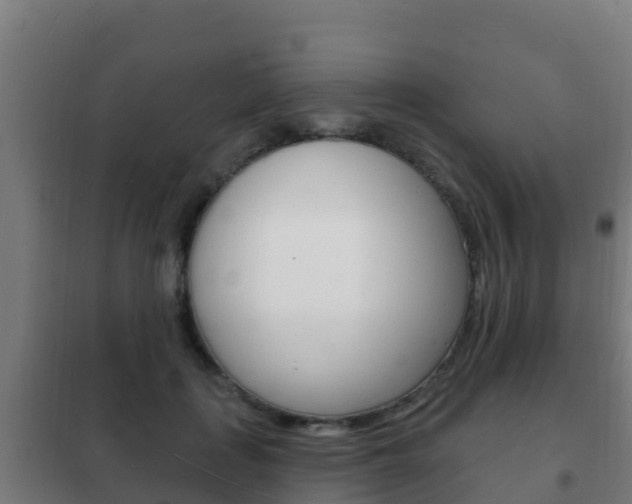 X0000102230651200807250810