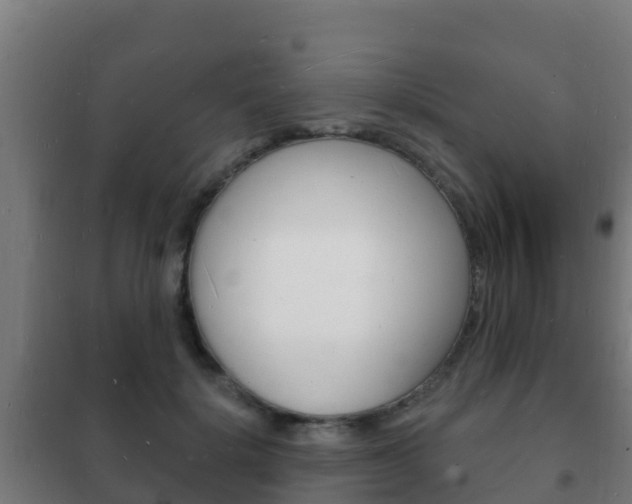 X0000102230652200807250810