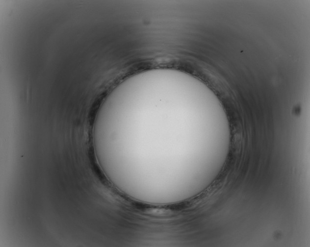 X0000102230654200807250810
