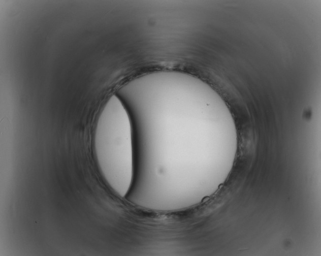 X0000102230656200807250810