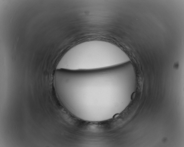 X0000102230657200807250810