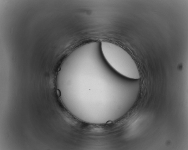 X0000102230658200807250810