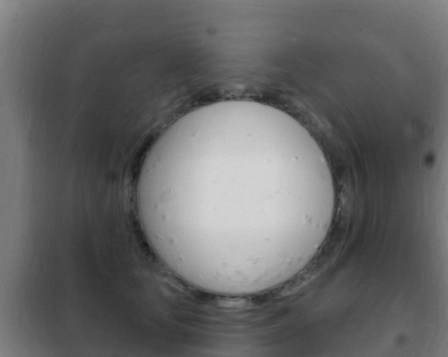 X0000102230659200807250810
