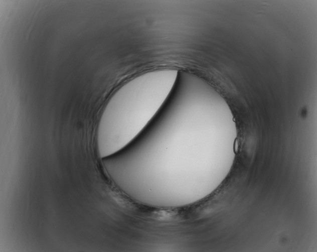 X0000102230660200807250810