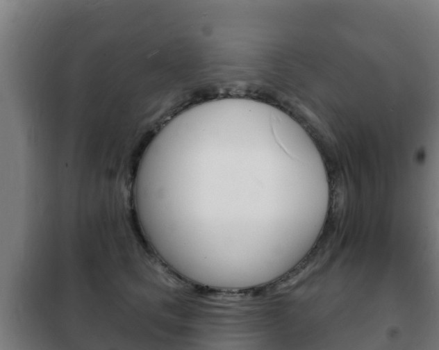 X0000102230661200807250810