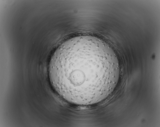 X0000102230662200807250810