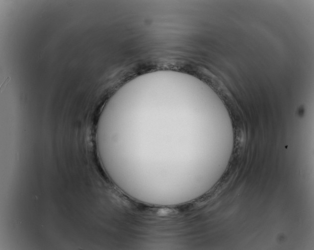 X0000102230663200807250810