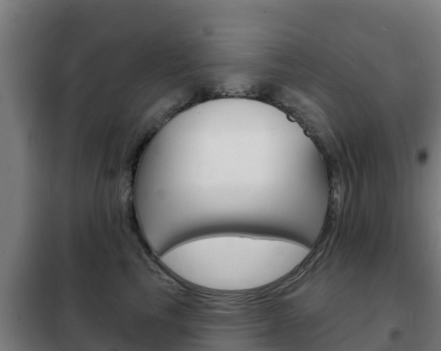 X0000102230665200807250810