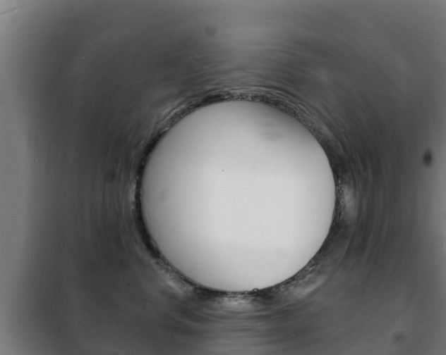 X0000102230668200807250810
