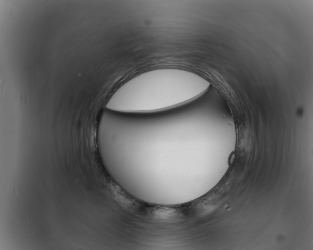 X0000102230669200807250810