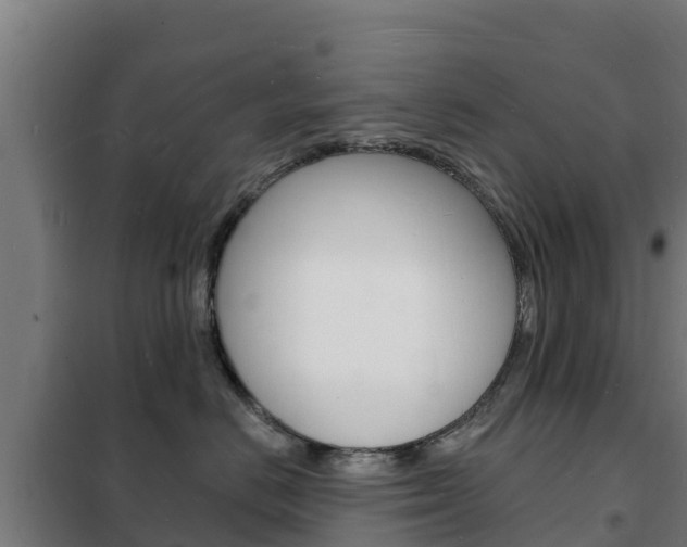 X0000102230670200807250810