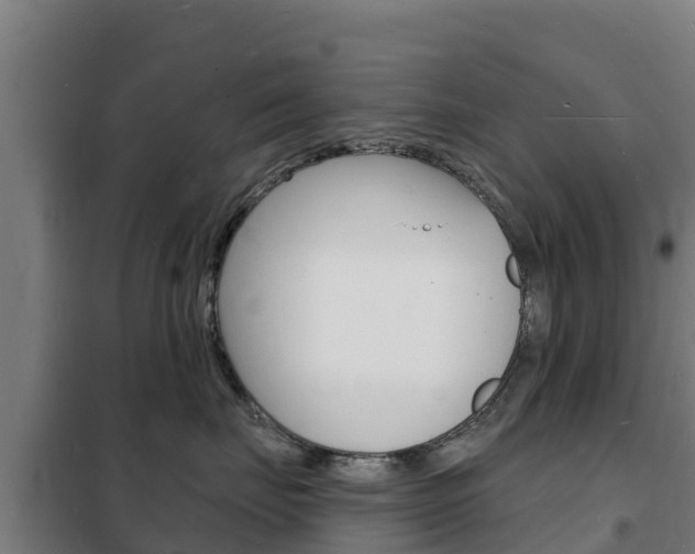 X0000102230671200807250810
