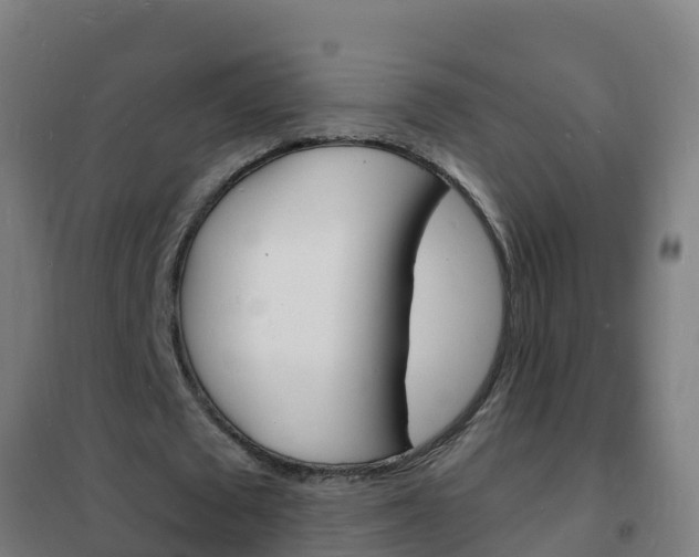 X0000102230673200807250809