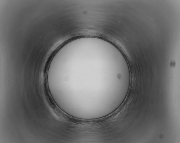 X0000102230674200807250809
