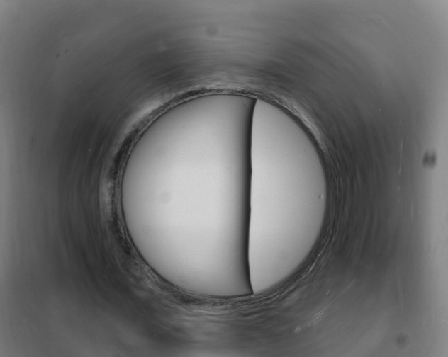 X0000102230675200807250809