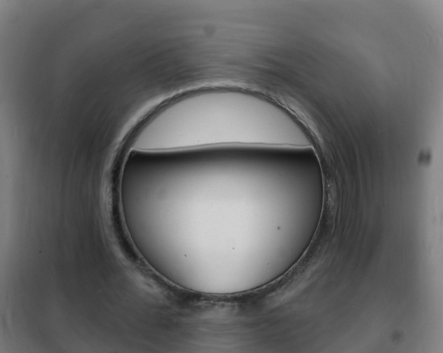 X0000102230676200807250809
