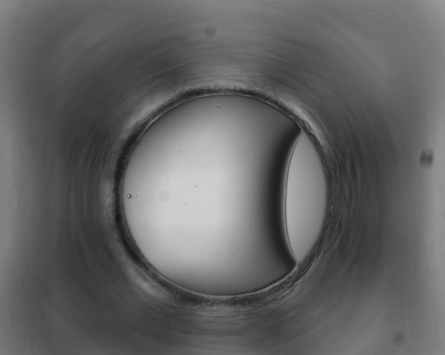 X0000102230677200807250809