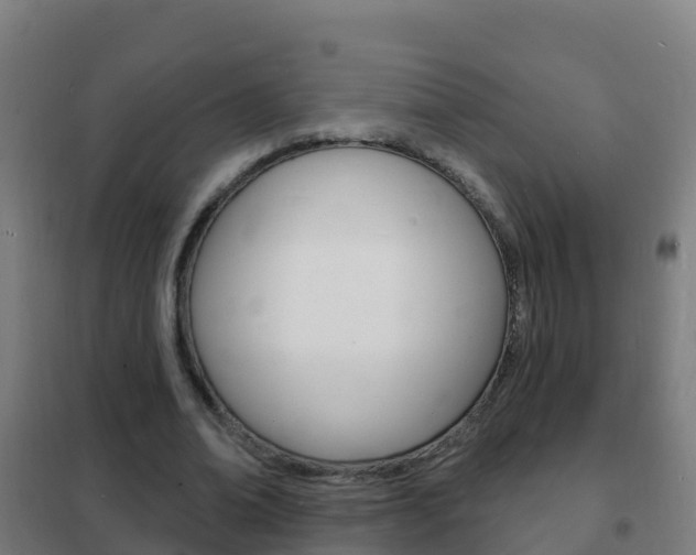 X0000102230678200807250809