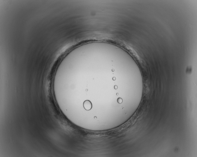 X0000102230679200807250809