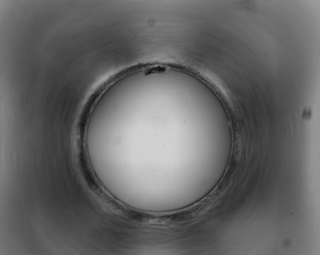 X0000102230680200807250809