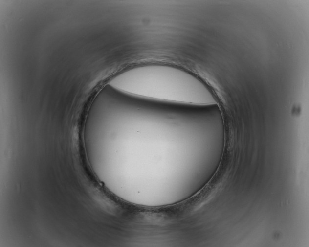 X0000102230681200807250809