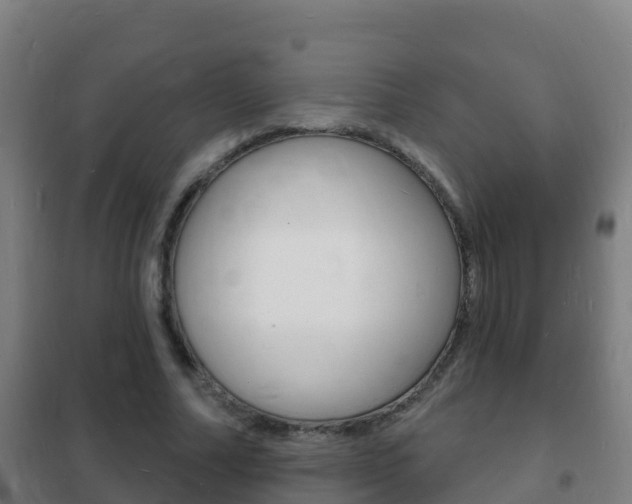 X0000102230682200807250809