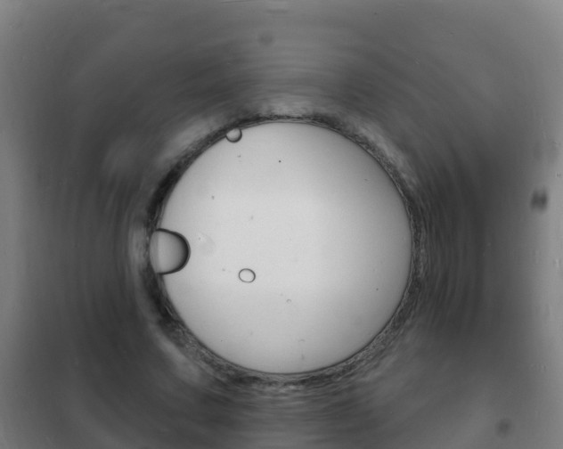 X0000102230683200807250809