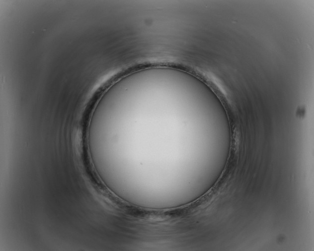X0000102230684200807250809