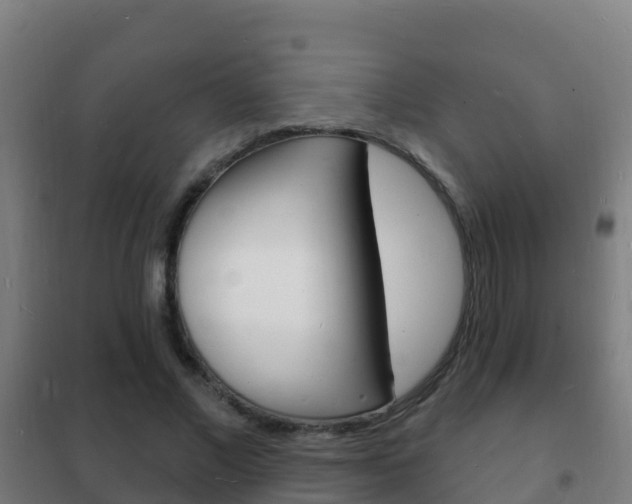 X0000102230685200807250809