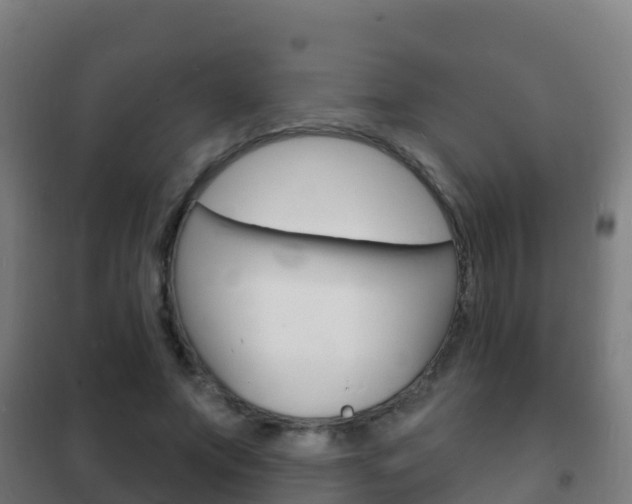 X0000102230687200807250809