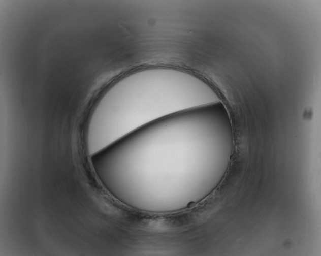X0000102230688200807250809