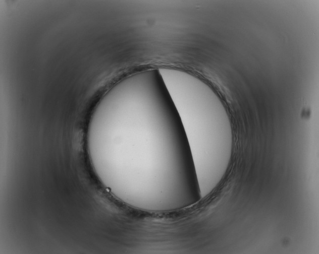 X0000102230689200807250809