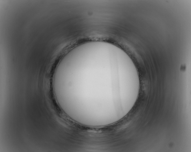 X0000102230690200807250809